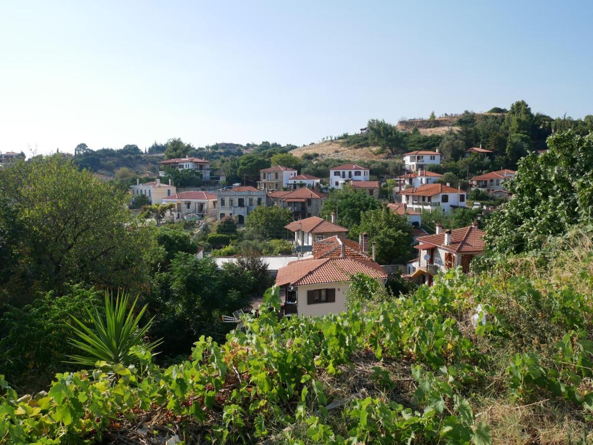 Vila Casa Di Grigoris Nikiti  Exteriér fotografie