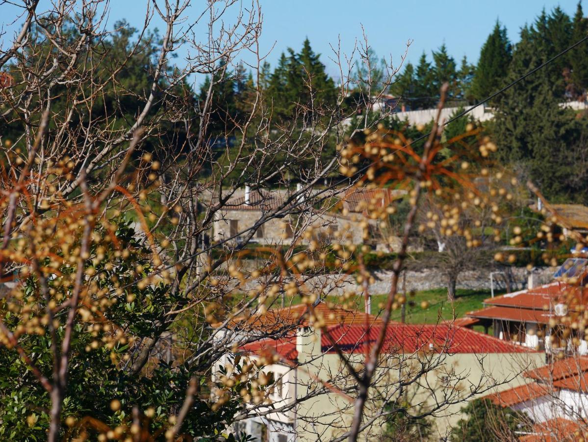 Vila Casa Di Grigoris Nikiti  Exteriér fotografie